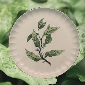 W.S. George China plate